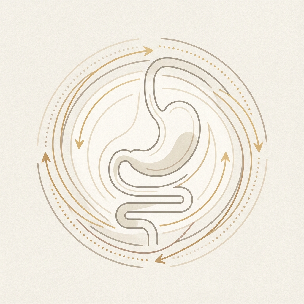 부신피로는 왜 생길까요?